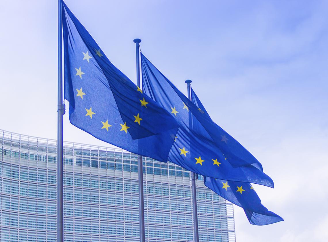 European Union flags
